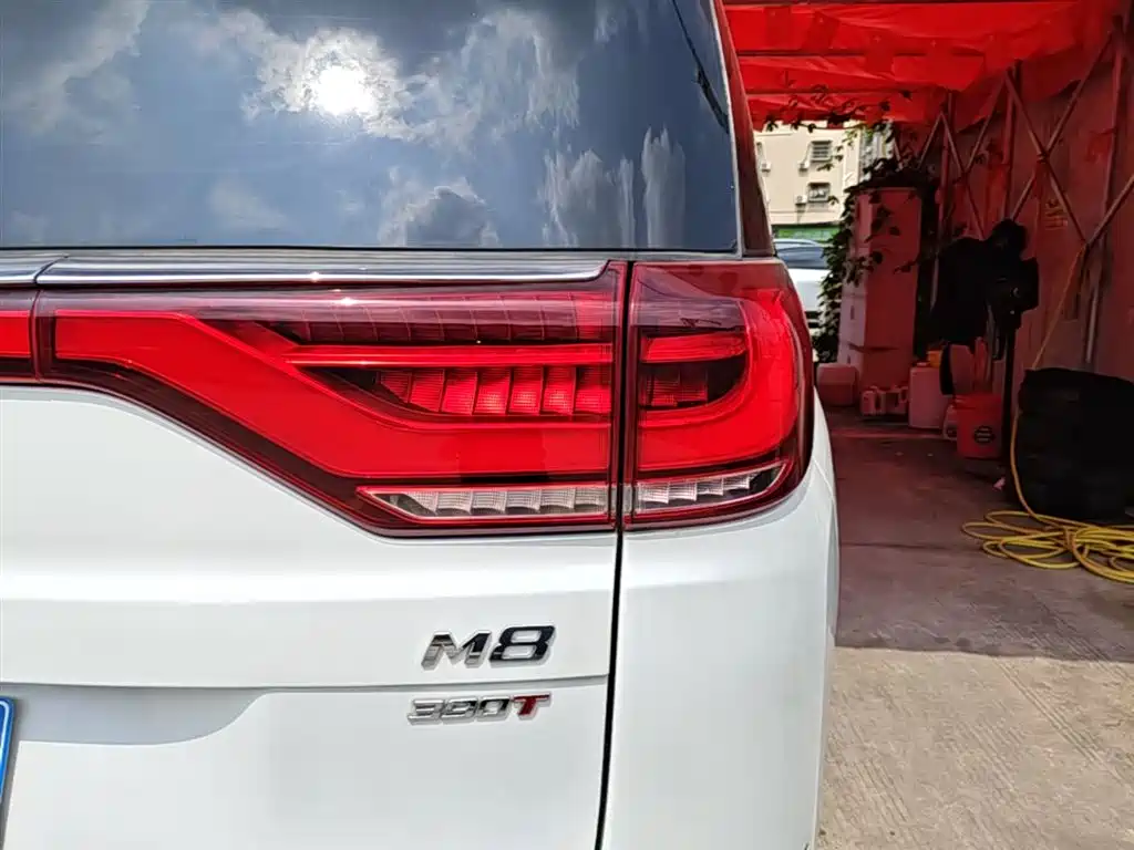 GAC Trumpchi Trumpchi M8 2023 Leading Series 390T Prestige Edition фото 8