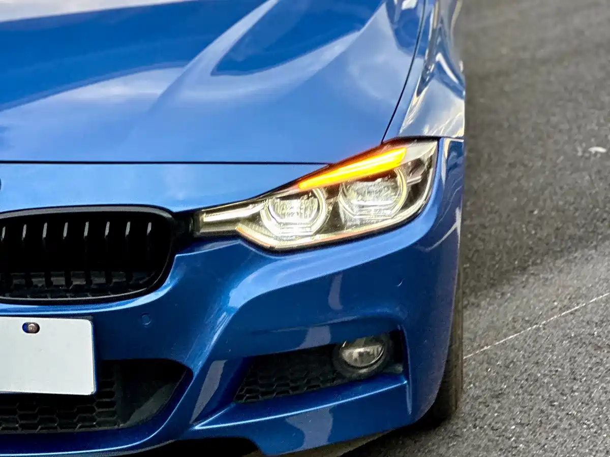 BMW 3 Series 2019 320Li M Luxury Package фото 16