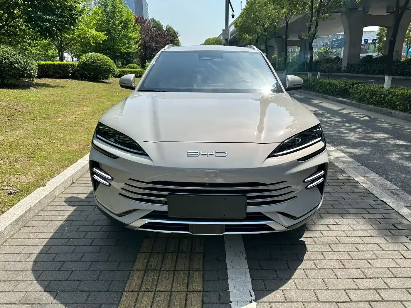 BYD Song PLUS PHEV 2023 Champion Edition DM-i 110KM Flagship фото 2