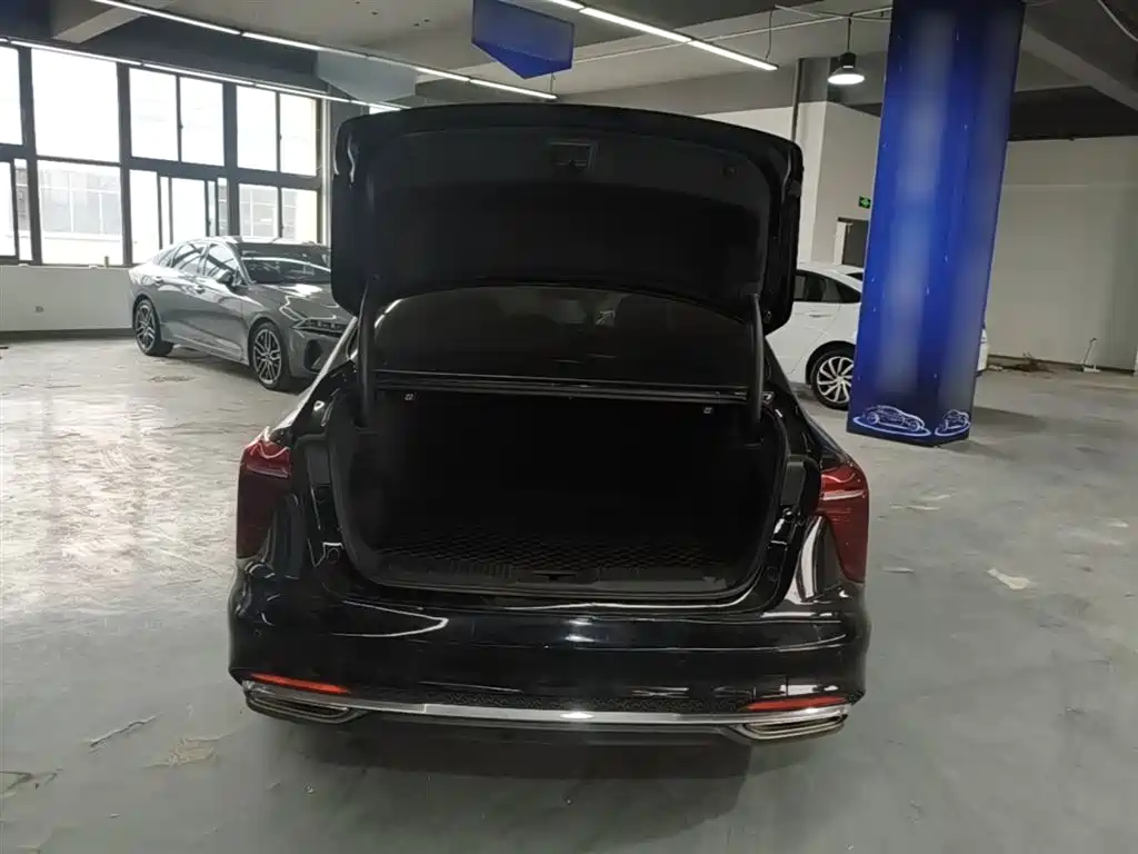 Hongqi H5 2024 2.0T Automatic Smart Connect Flag Smooth Edition фото 19