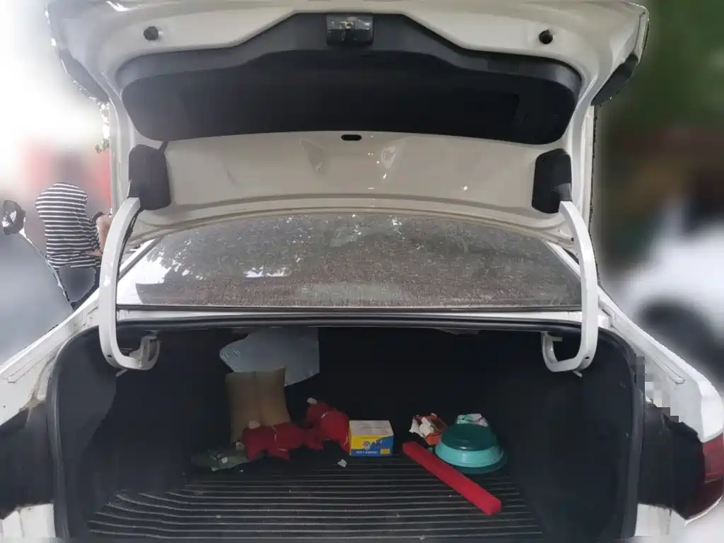 Photo 20 - Volkswagen Sagitar