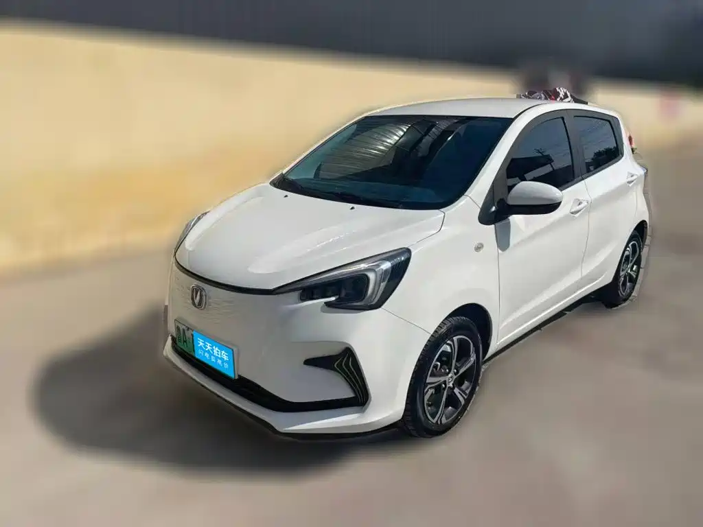 Photo 1 - Changan Benben E-Star