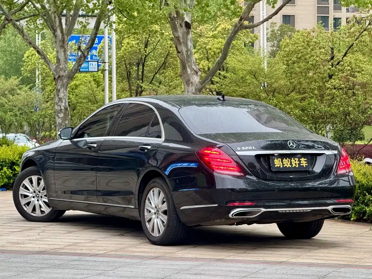 Mercedes-Benz S-Class 2019 S 320 L фото 5