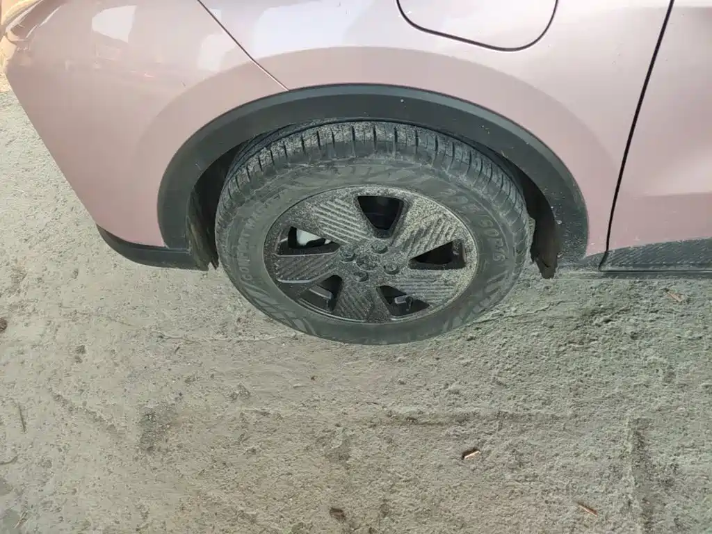 Geely Geometry E Firefly 2024 2024 Model 301km Starlight