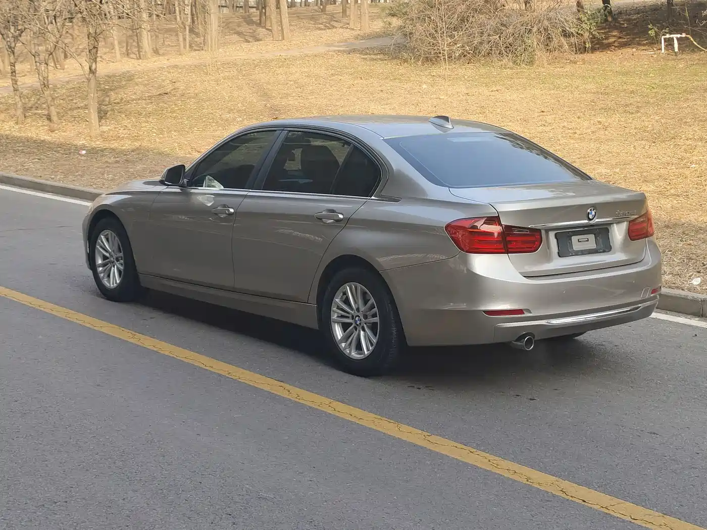BMW 3 Series 2015 320Li Super Joy Fashion фото 3
