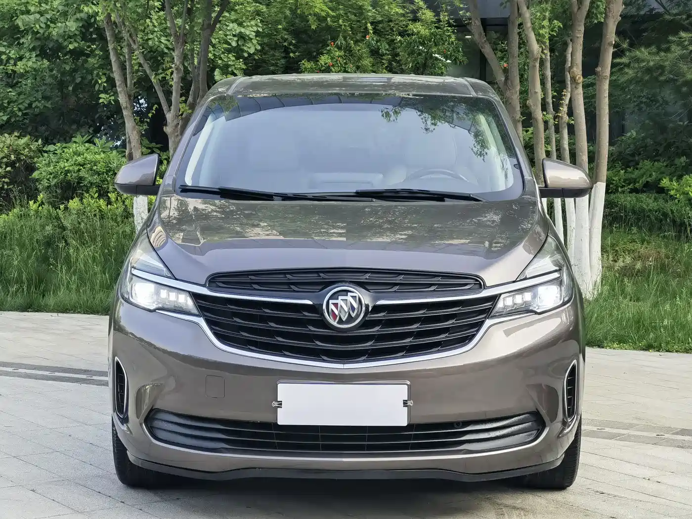 Buick GL8 2021 Land Business Class 652T Luxury фото 2