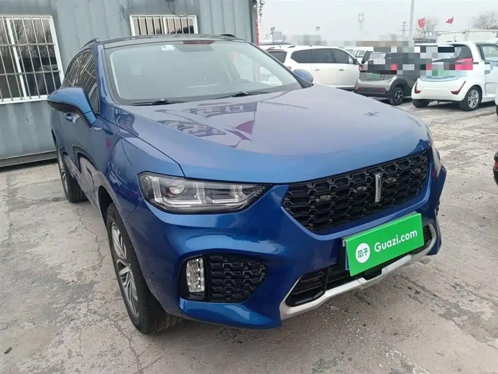 WEY VV5 2017 2017 2.0T Super Luxury Model
