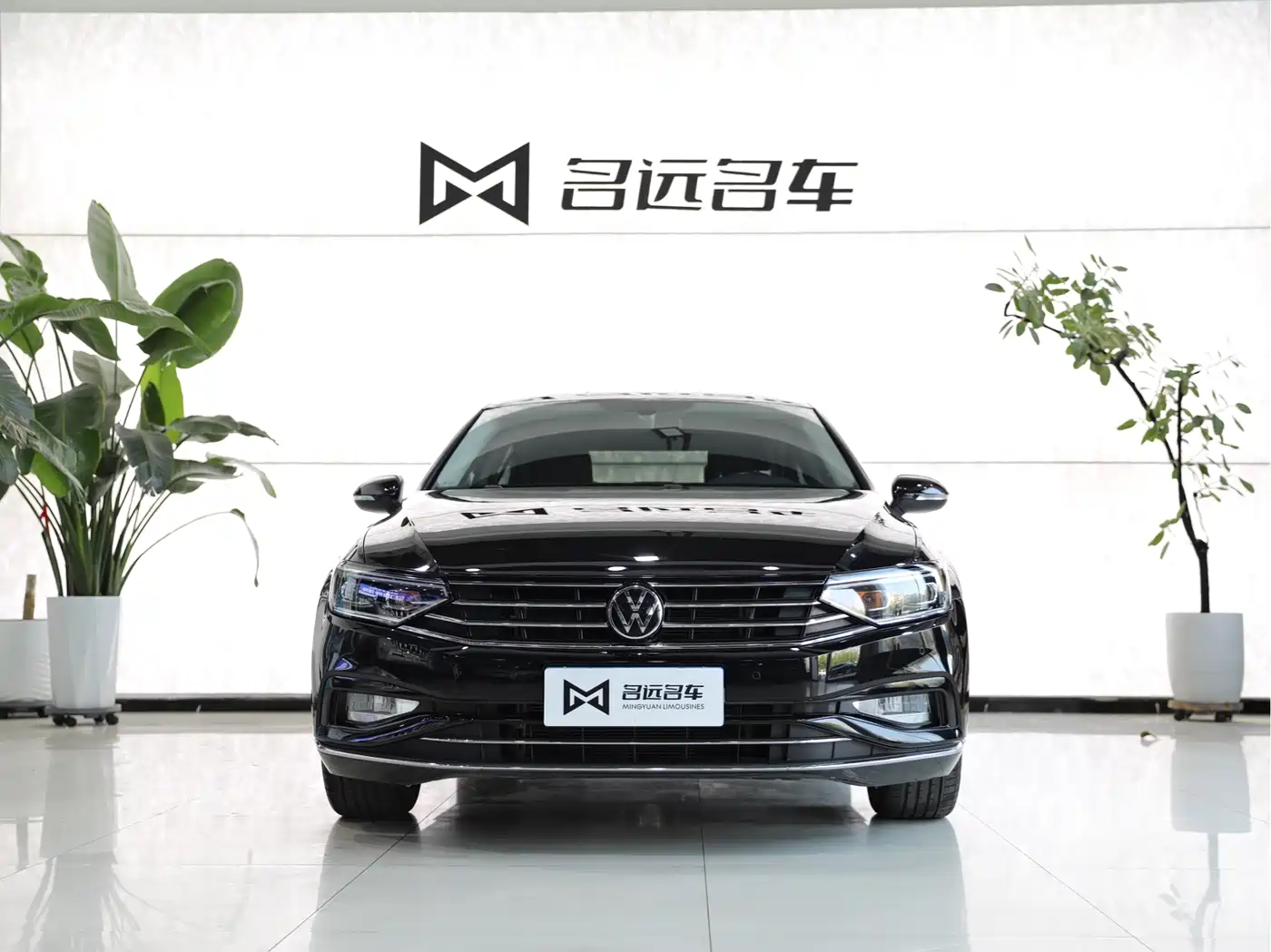 Volkswagen Magotan 2020 330TSI DSG Leading фото 2