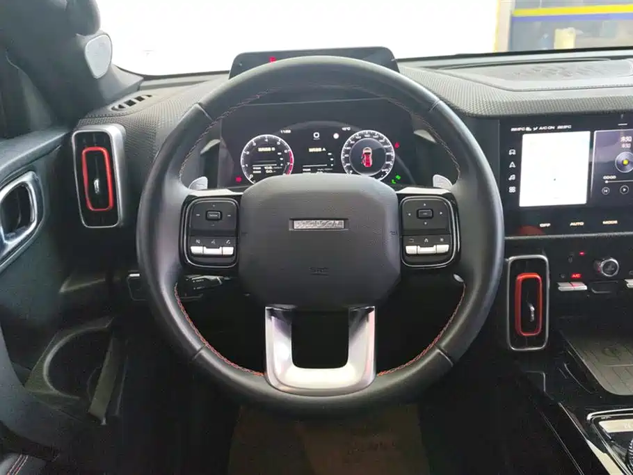 Haval Big Dog 2021 1.5T DCT 2WD Malinois Edition фото 15