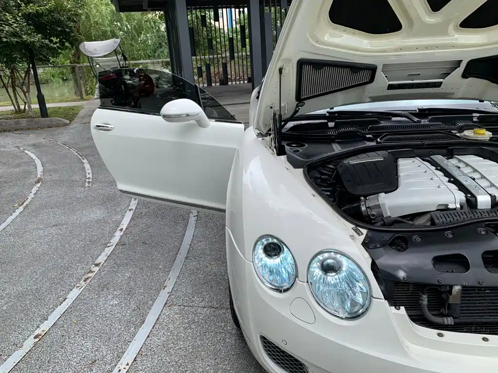 Bentley Continental 2011 2010 Supersports 6.0