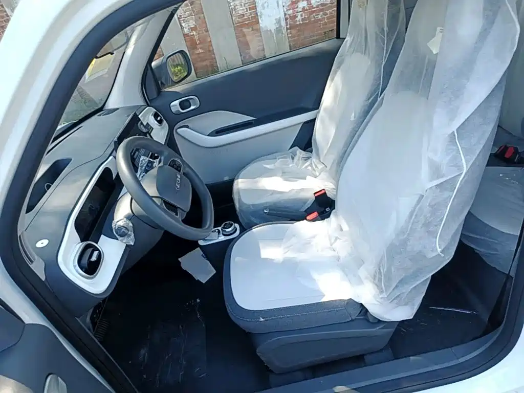 Geely Galaxy Panda 2026 2025 Panda mini 210km Vitality Bear