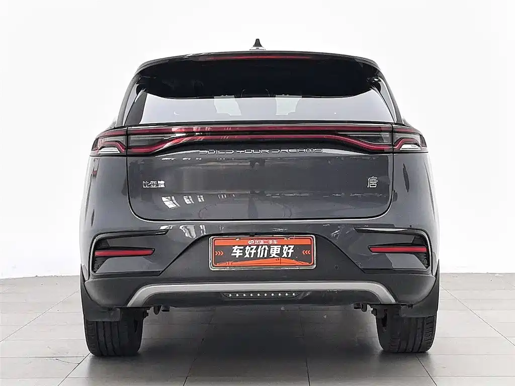 BYD Tang New Energy 2021 DM-i 112KM Honor фото 4