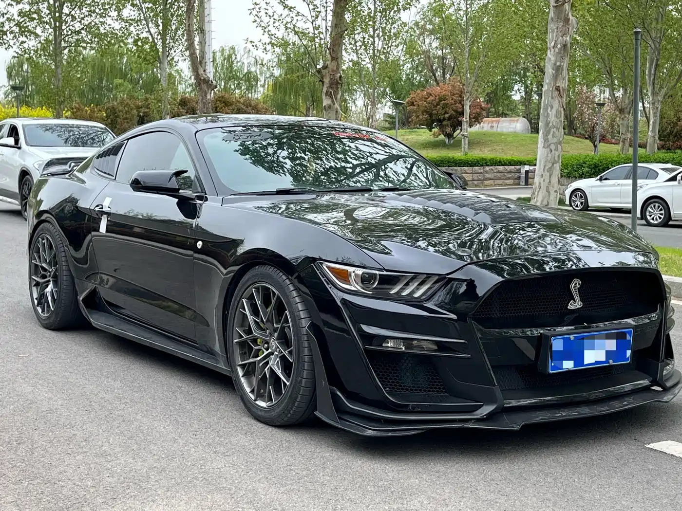 Ford Mustang 2015 2.3T Performance Edition фото 12