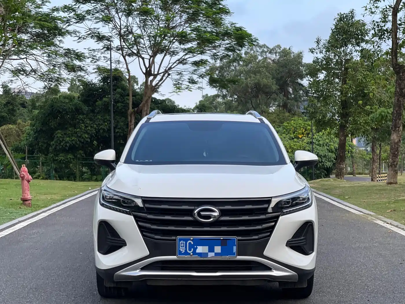GAC Trumpchi Trumpchi GS4 2021 270T Auto Elite Tech фото 2