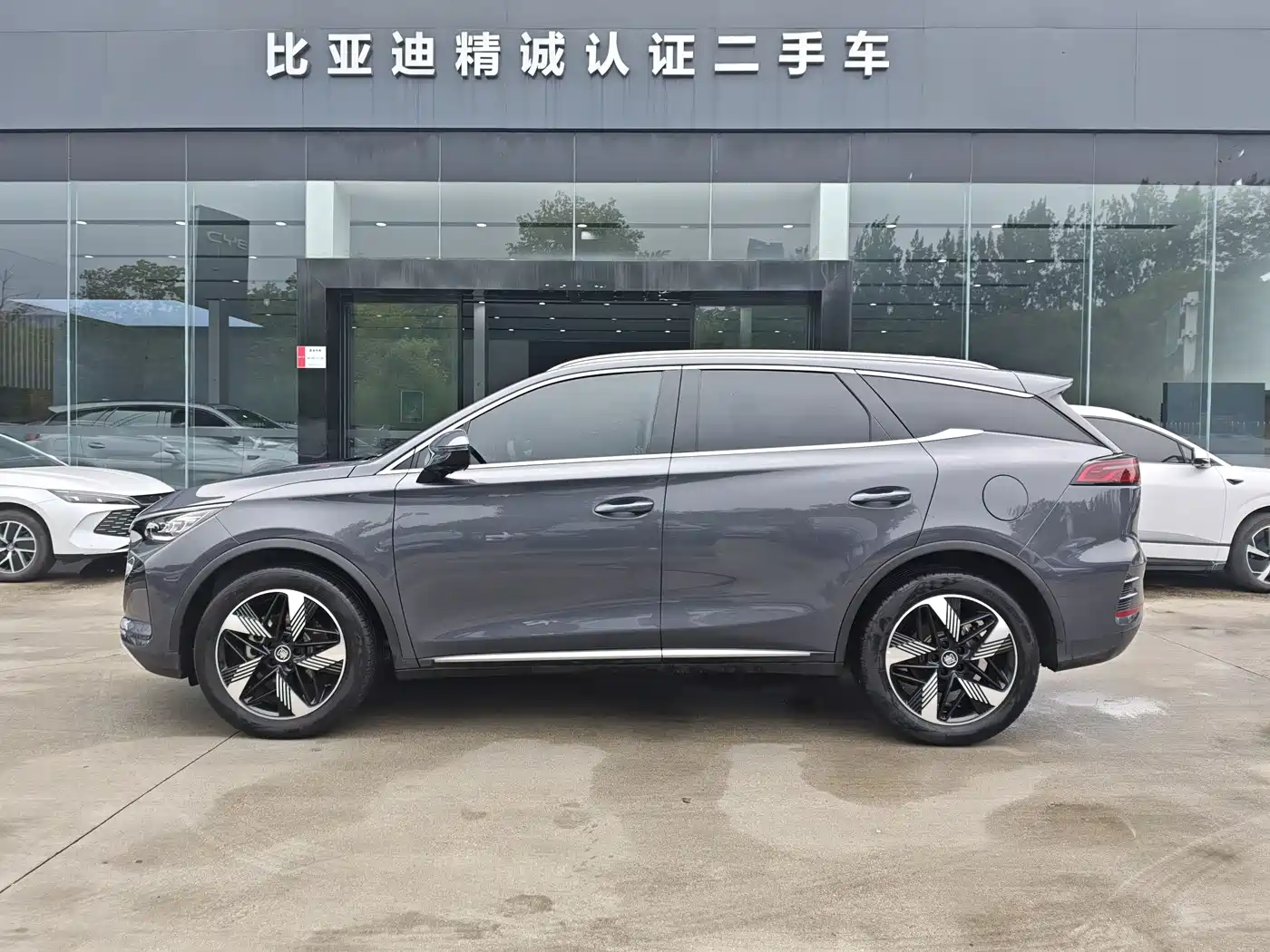 BYD Tang New Energy 2024 DM-i Honor Edition 112KM Premium фото 4