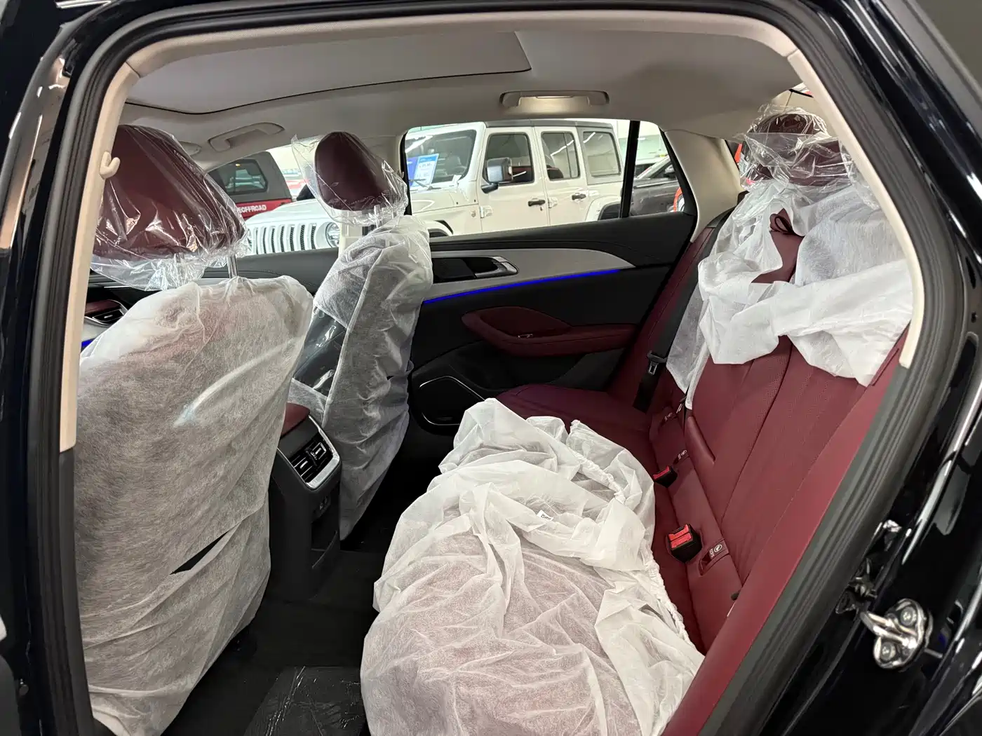Hongqi H5 2025 2.0T Automatic Flag Celebration 500,000 Units Anniversary Edition фото 8