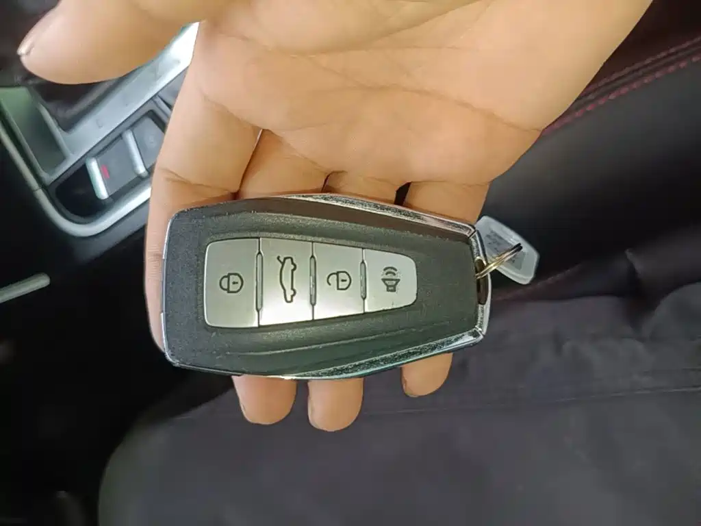 Фото 9 - Geely Binrui