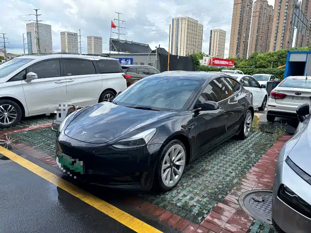 Tesla Model 3 Стандартный запас хода, задний привод, улучшенная, 3D6