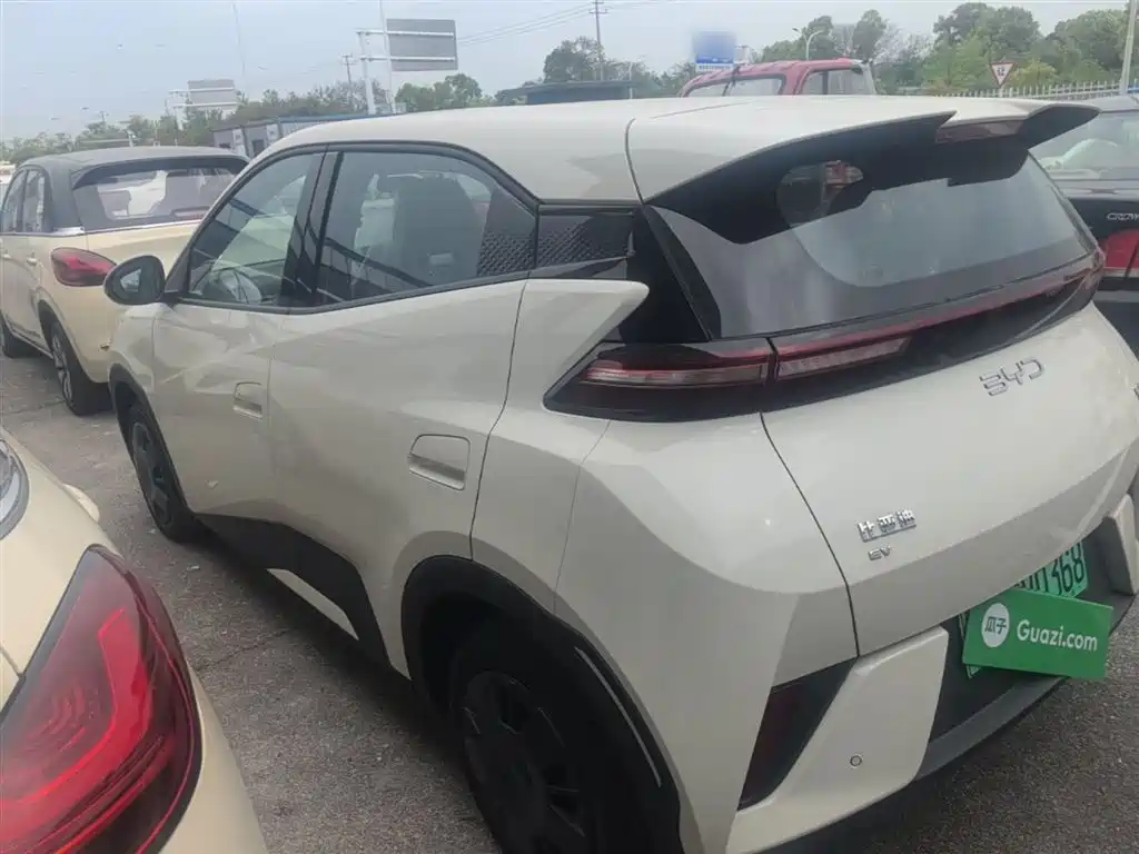 BYD Seagull 2025 Smart Drive Edition 305km Vitality Version фото 5