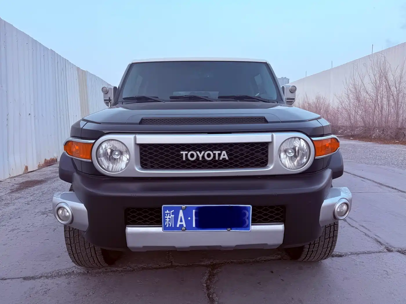Toyota FJ Cruiser 2013 4.0L фото 2
