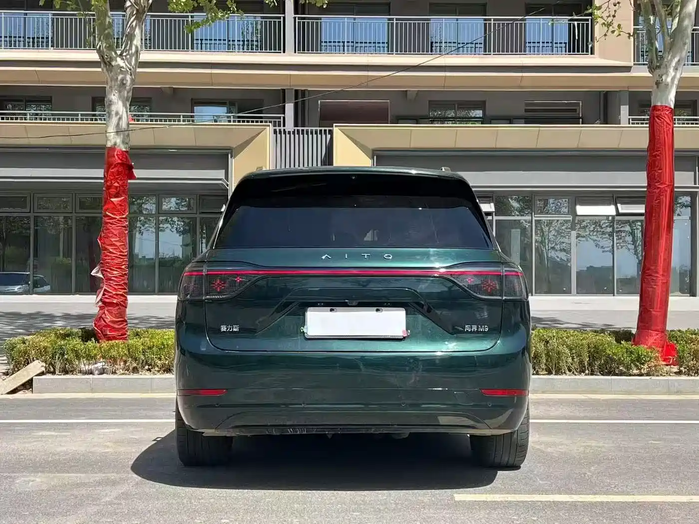 AITO Wenjie AITO M9 2024 Range Extender Ultra 52kWh 6-seater фото 8