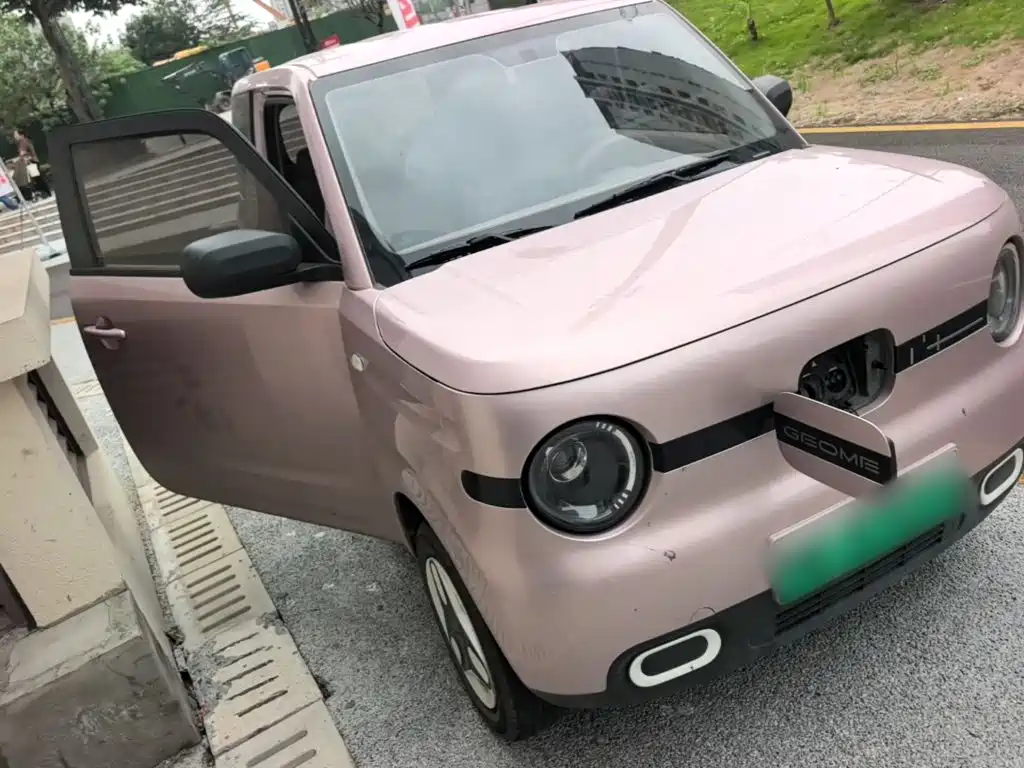 Geely Galaxy Panda 2026 2025 Panda mini 210km Vitality Bear