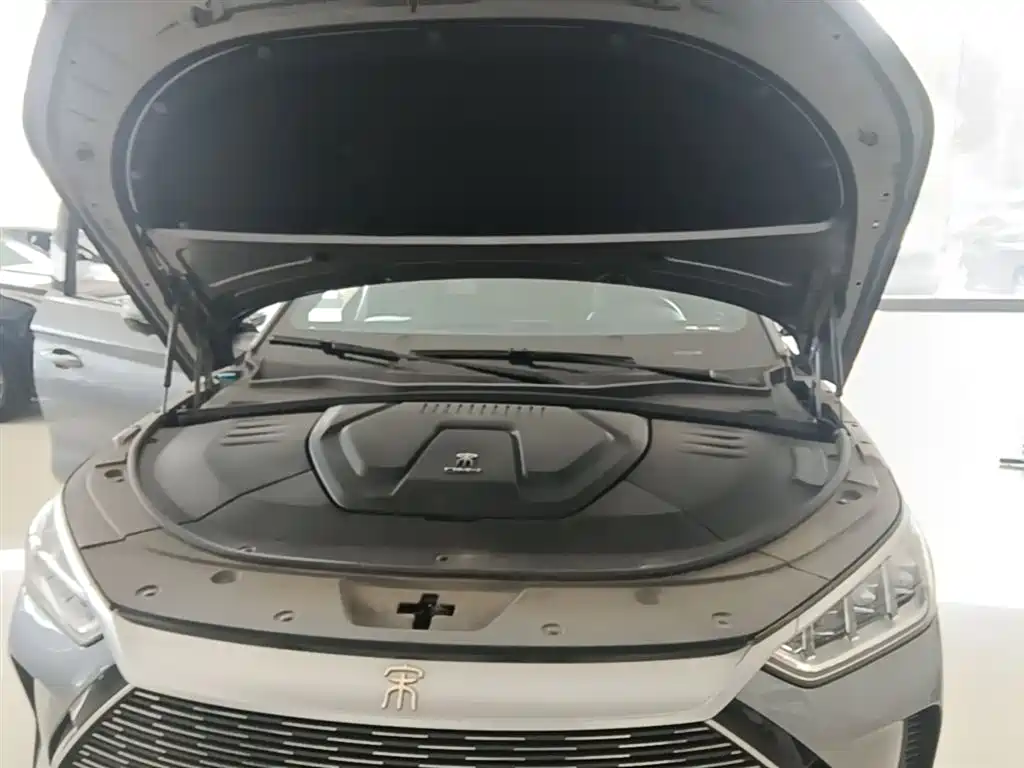 BYD Song PLUS PHEV 2021 DM-i 110KM Flagship фото 20
