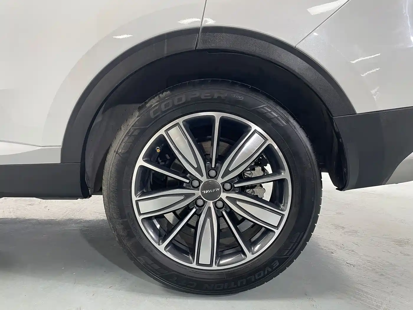 Haval H6 2021 1.5GDIT Automatic Champion Edition фото 19