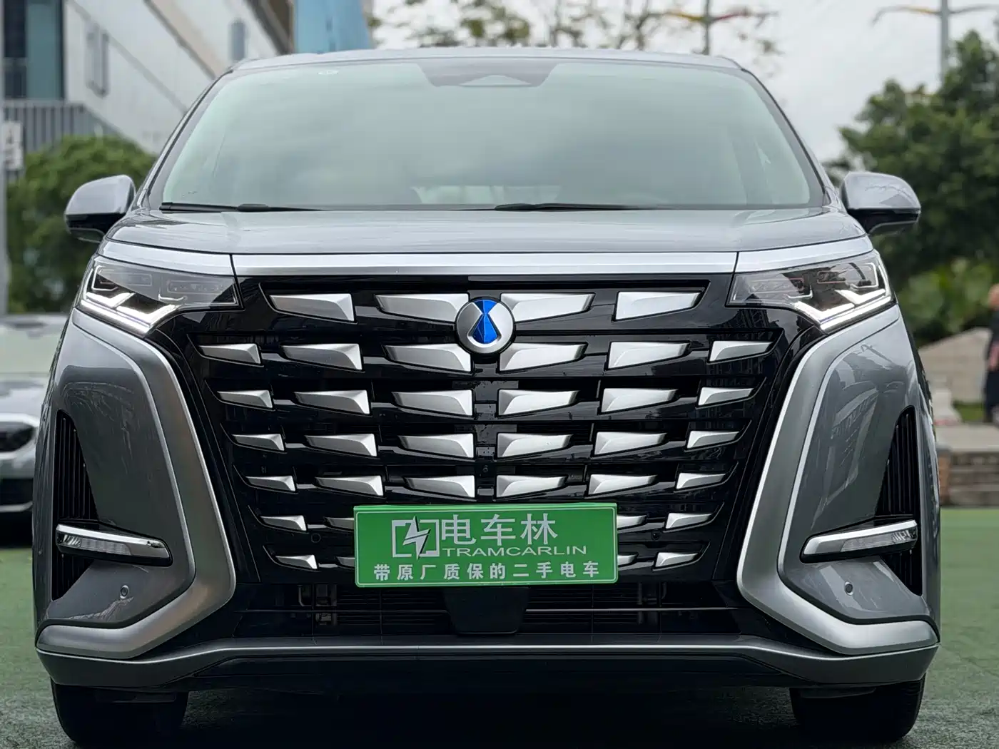 Denza D9 2022 DM-i 970 All-Wheel Drive Honor Edition фото 2