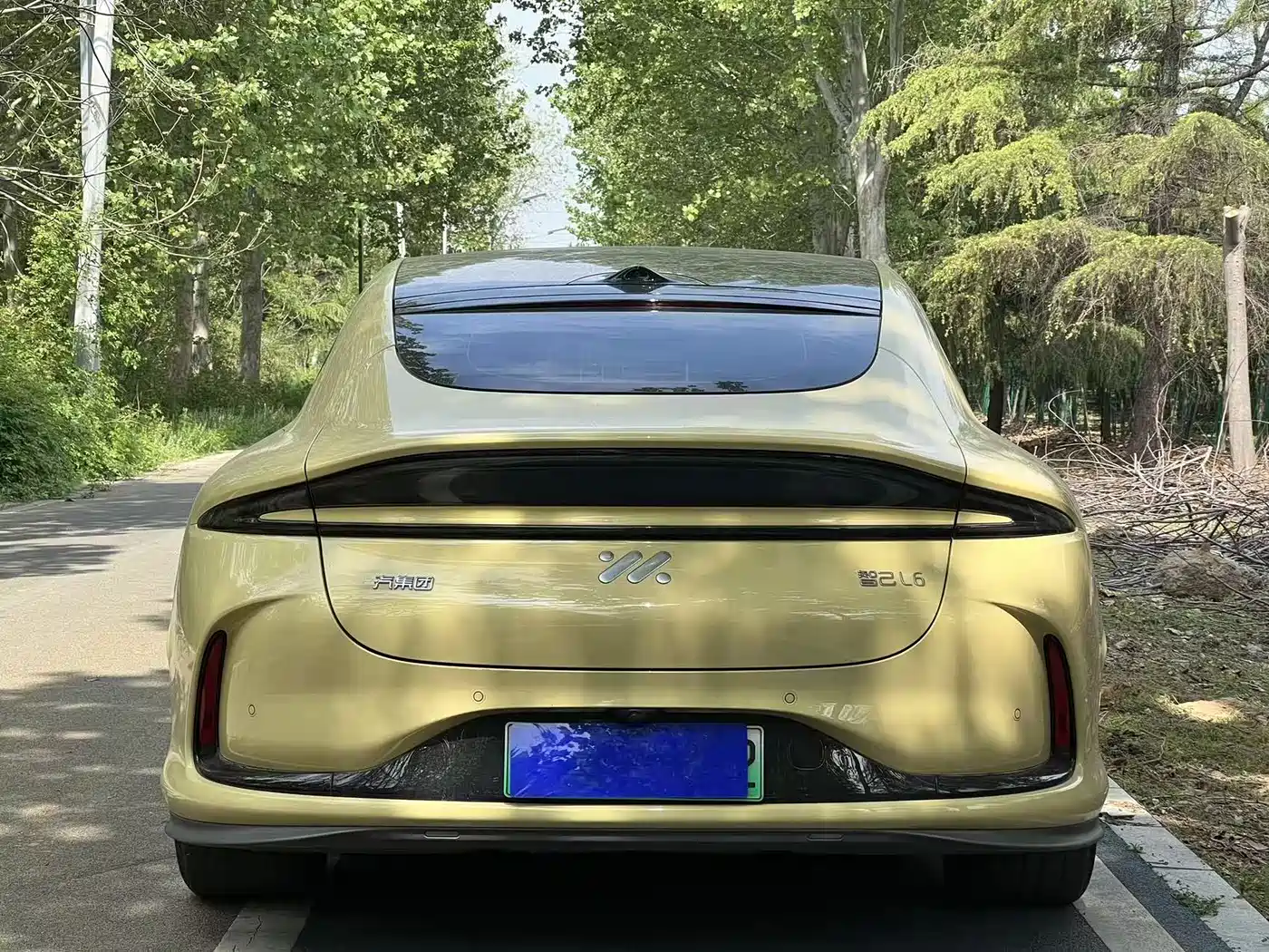 ZHIJI AUTOMOBILE ZHIJI L6