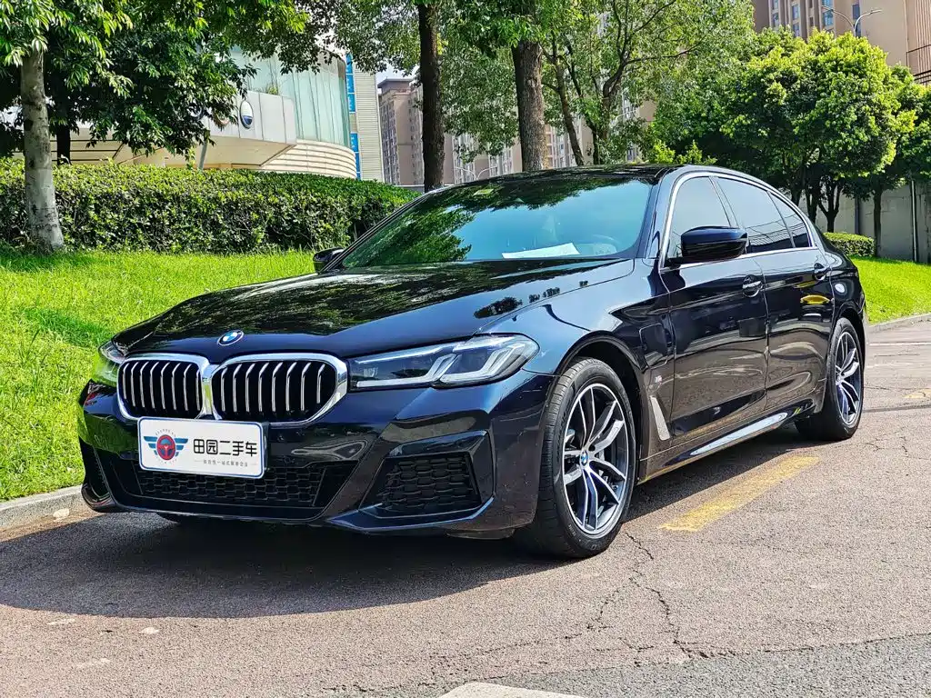 BMW 5 Series New Energy 2021