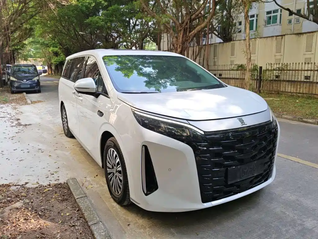 BYD Xia 2025 2025 DM-i 1.5T 180km Excellence