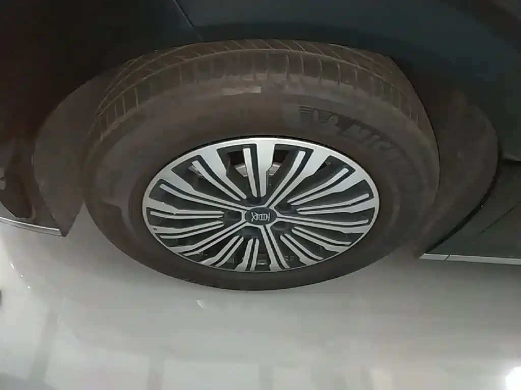 BYD Xia 2025 DM-i 1.5T 180km Surpass Edition фото 23