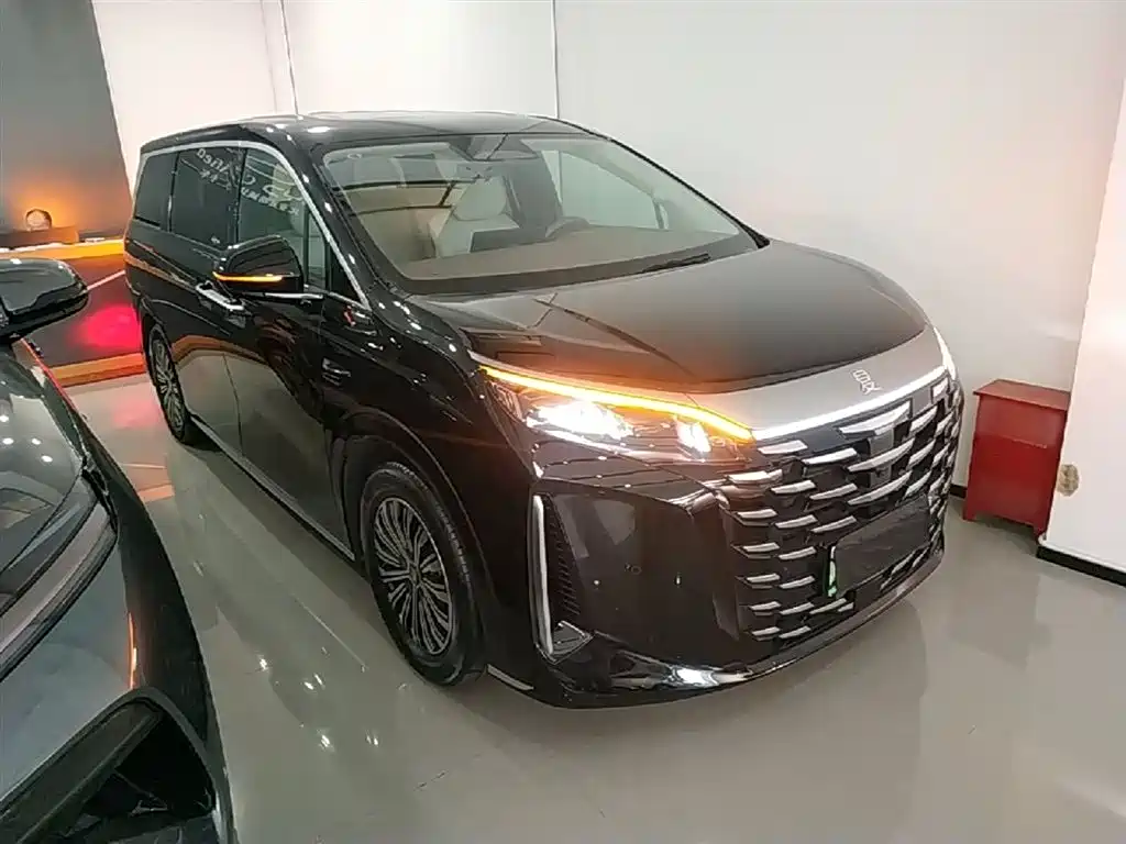 BYD Xia 2025 DM-i 1.5T 180km Surpass Edition фото 4