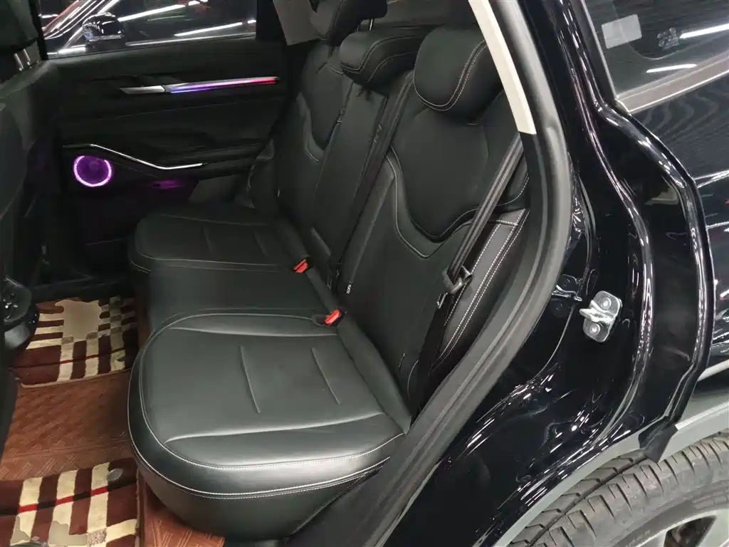 Haval H6 New Energy 2023 DHT-PHEV 110KM Joy Ride Edition фото 13