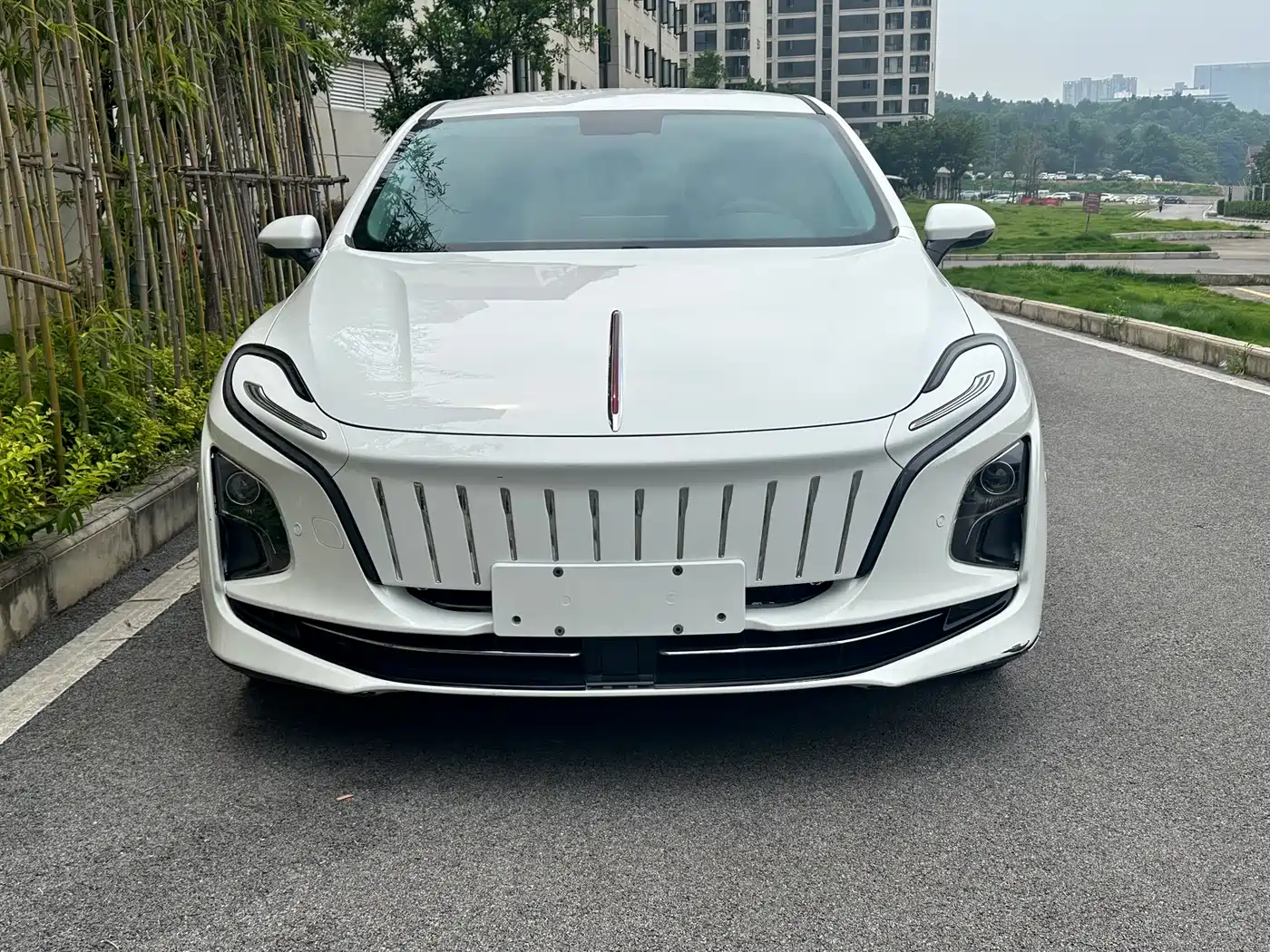 Hongqi E-QM5 2022 431km Charging Enjoyment Edition фото 2