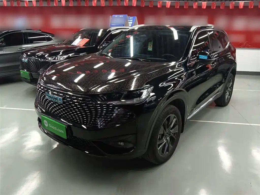 Haval H6 New Energy 2023 DHT-PHEV 110KM Joy Ride Edition фото 2