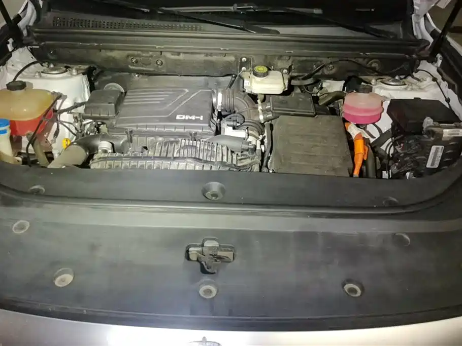BYD Song Pro New Energy 2022 DM-i 110km Flagship Pro фото 10