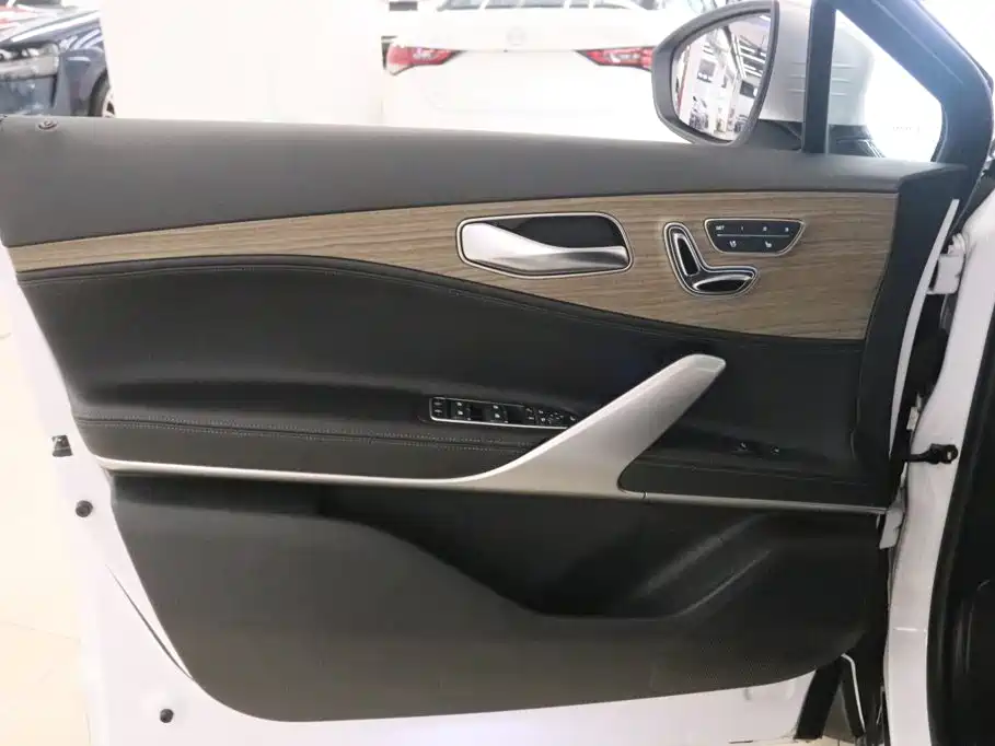 Denza X 2021 2020 Model PHEV Flagship Edition