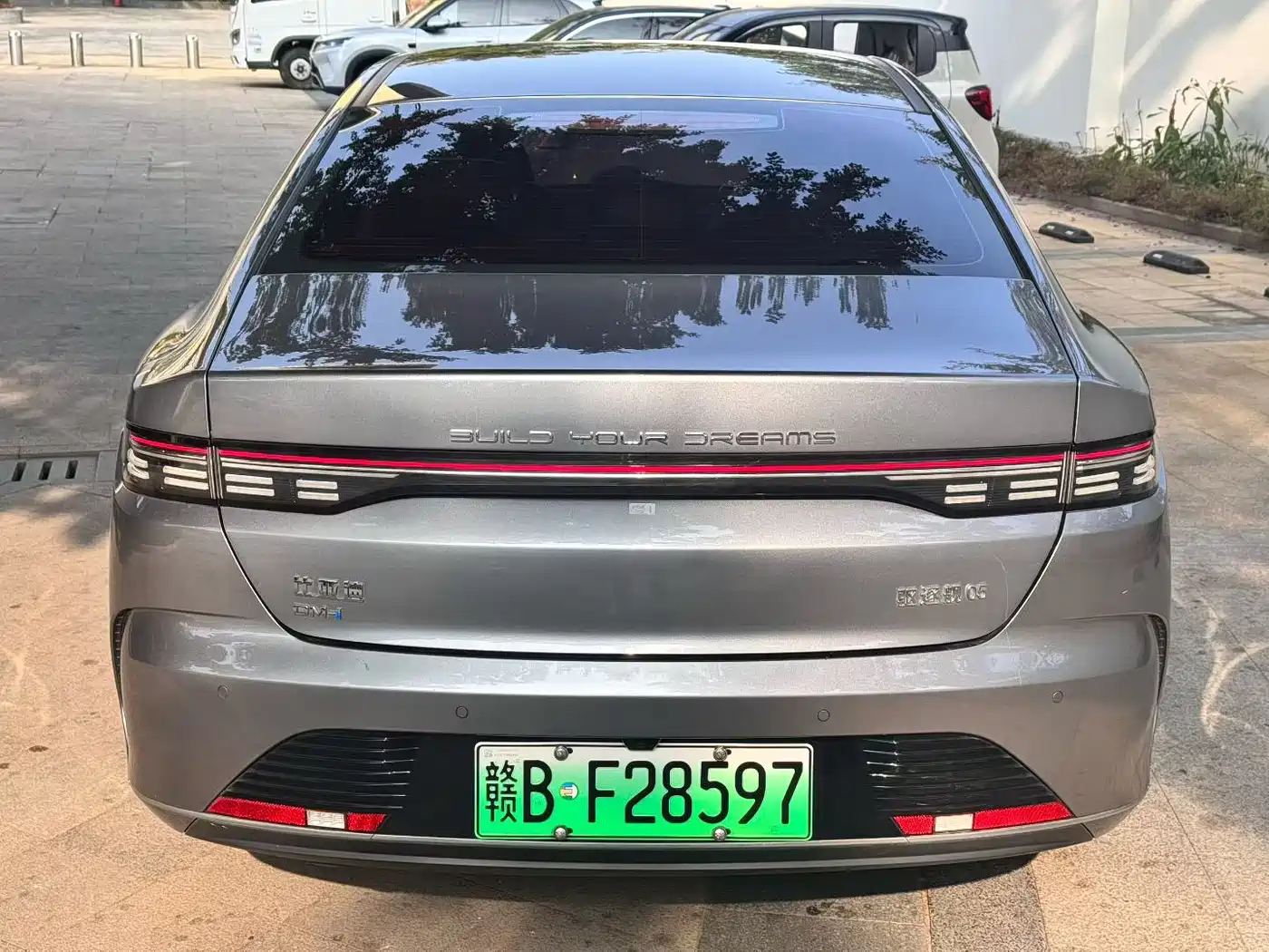 BYD Destroyer 05 2023 Champion Edition DM-i 55KM Luxury фото 8