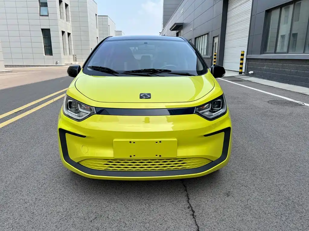 Sehol Flower Fairy 2021 2021 Jimei Edition 302km Premium