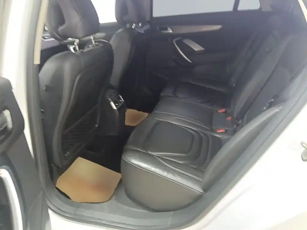 DS 4S 2016 2016 Model 1.6T Automatic Smart Enjoy Edition THP160