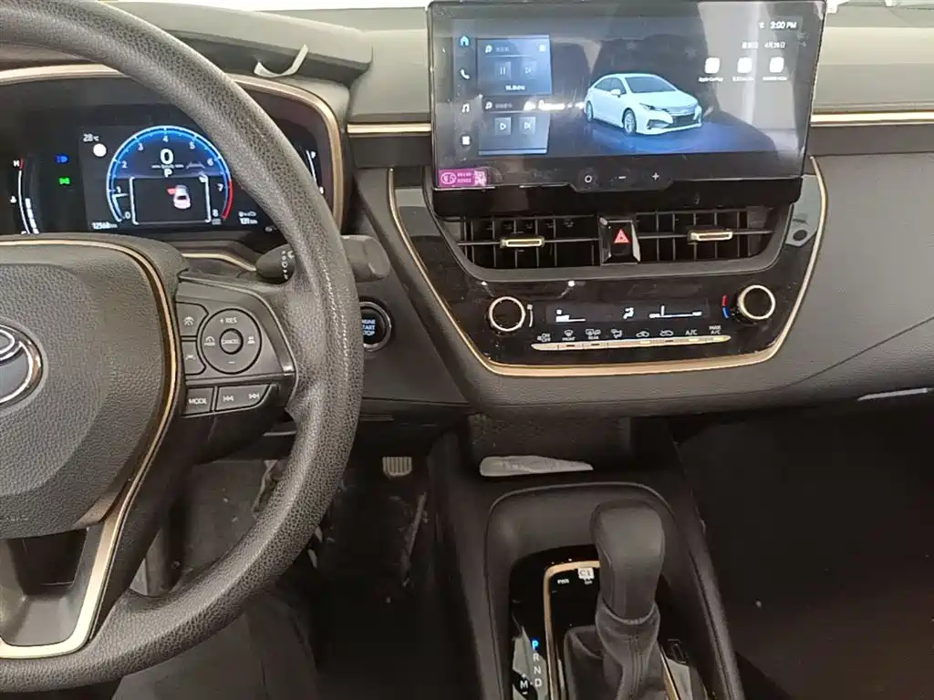 TOYOTA ASIAN LION
