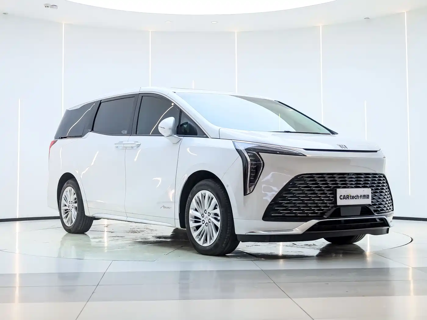 Buick Century 2025 2.0T 6-Seater World Edition фото 2