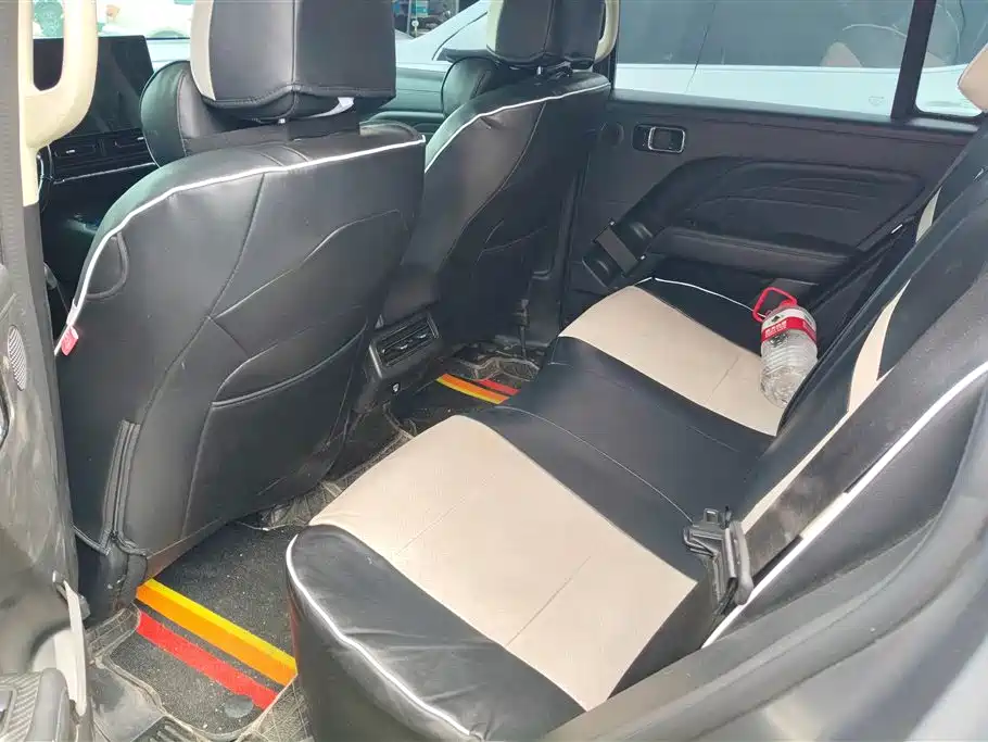 Haval Meng Long NEV 2024 Hi4 145 Pro фото 11