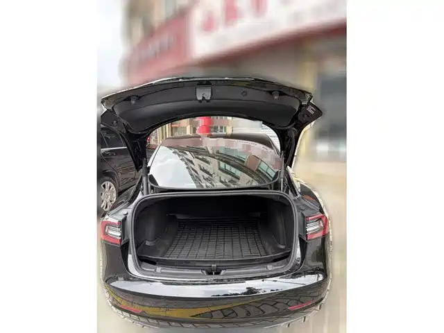 Tesla Model 3 2021 Standard Range Rear-Wheel Drive Upgrade — фото 5