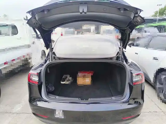 Tesla Model 3 2021 Performance High-Performance All-Wheel Drive — фото 5