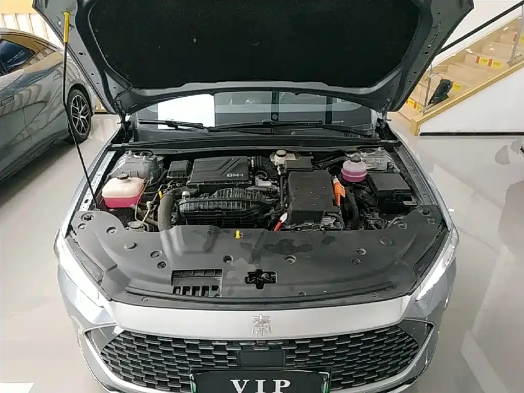 BYD Qin PLUS 2023 Champion Edition DM-i 120KM Excellence фото 20
