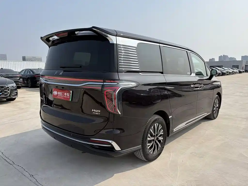 Фото 6 - Hongqi HQ9