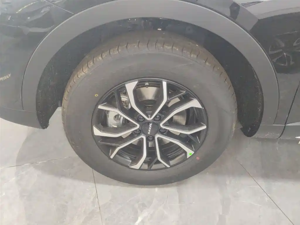 Haval H6 2025 1.5T National Trend Urban Edition фото 23